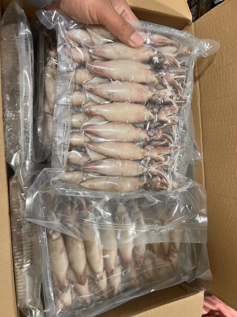 籽乌海兔大量供应品质新鲜货源充足量大从优