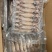 籽乌海兔大量供应品质新鲜货源充足量大从优