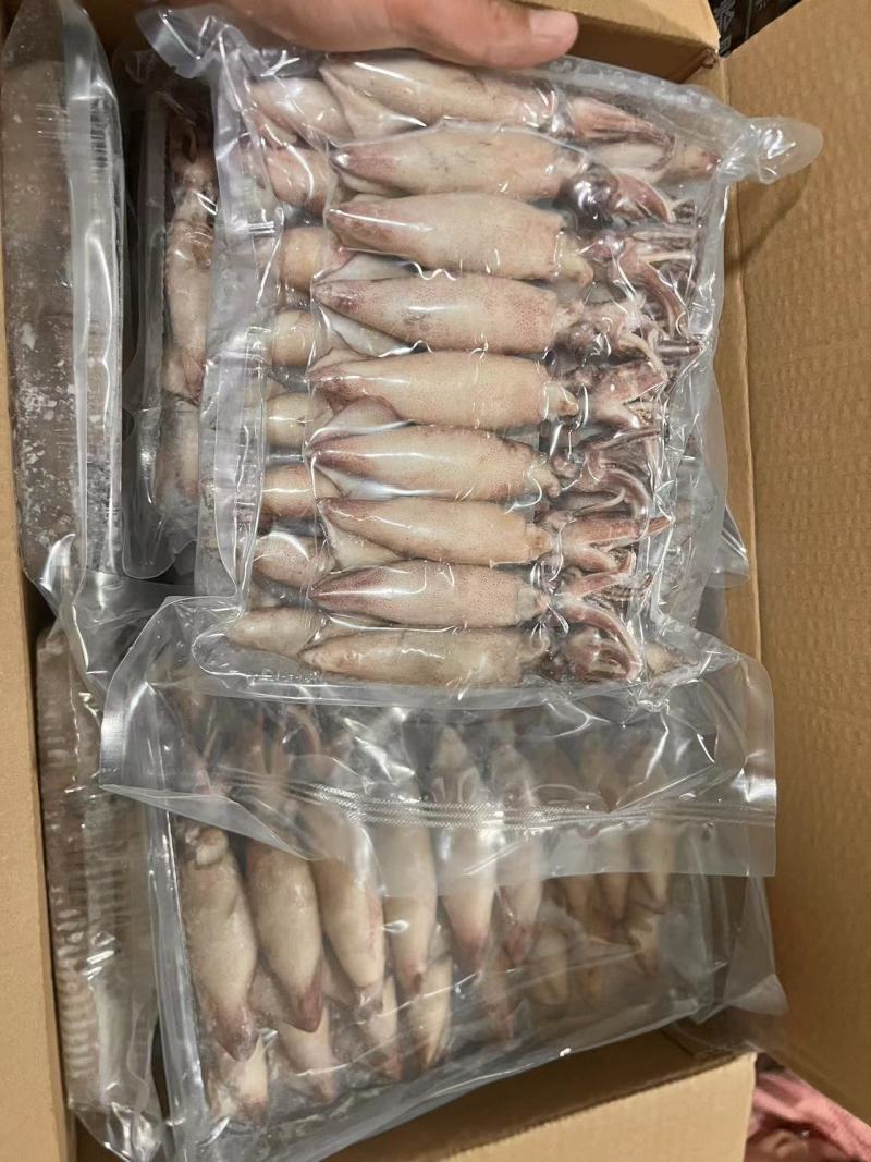 籽乌海兔大量供应品质新鲜货源充足量大从优