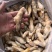 蛏王肉精品蛏王肉规格齐全稳定供货可长期合作