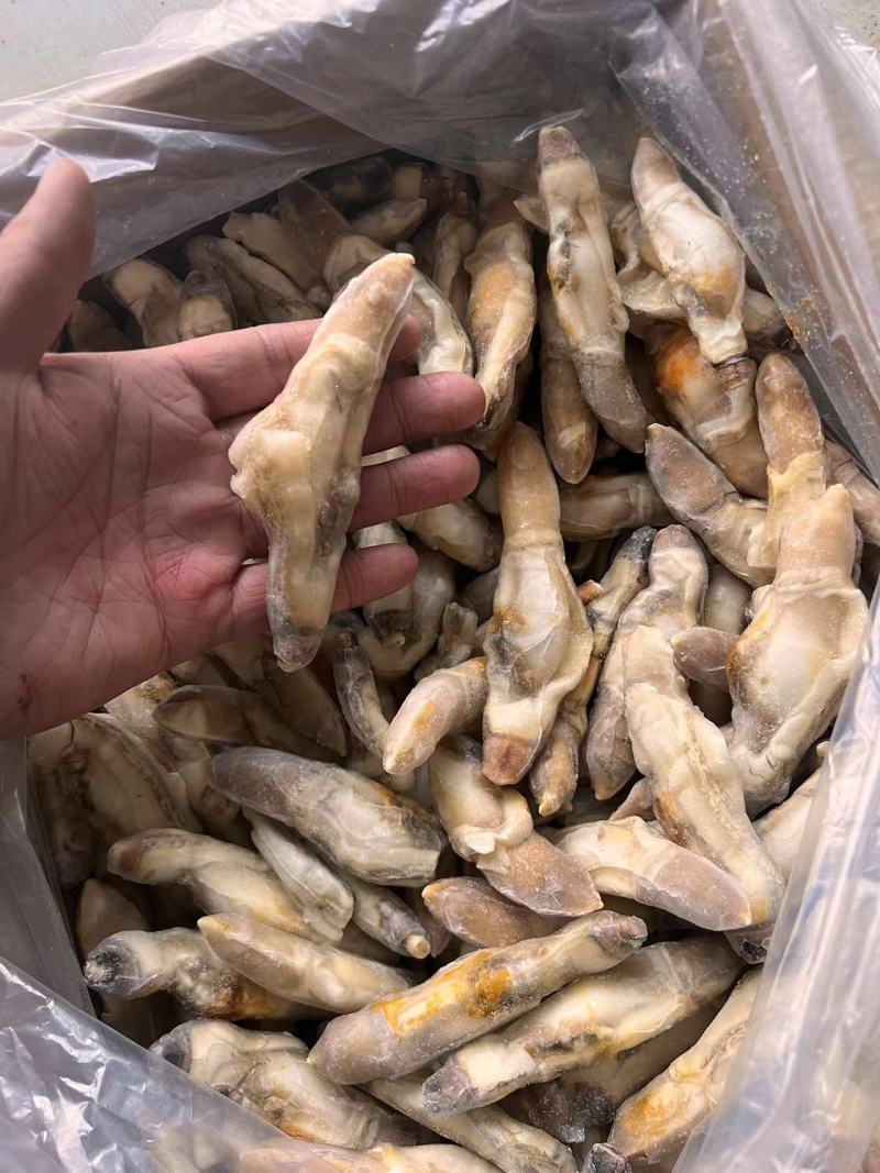 蛏王肉精品蛏王肉规格齐全稳定供货可长期合作