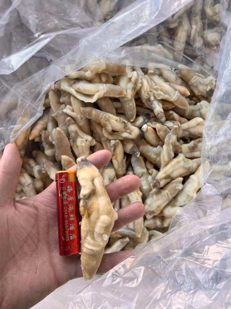 蛏王肉精品蛏王肉规格齐全稳定供货可长期合作