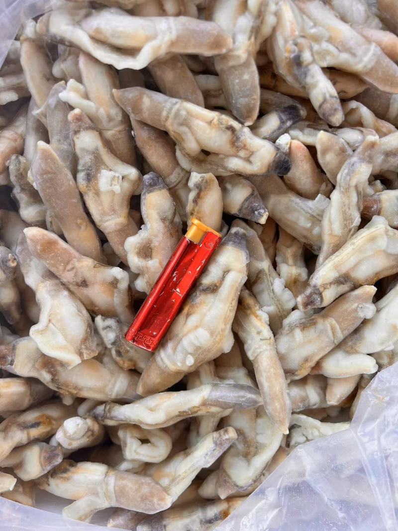 蛏王肉精品蛏王肉规格齐全稳定供货可长期合作
