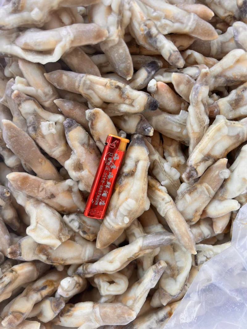 蛏王肉精品蛏王肉规格齐全稳定供货可长期合作