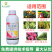 超艳30%苯甲丙环唑杀菌剂防治叶斑炭疽病褐斑病黑痘病白粉