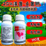 25%溴菌壬菌铜青枯病炭疽病根腐病溃疡病真细菌杀菌剂
