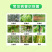 50%福美双杀菌剂白粉根腐霜霉稻瘟等