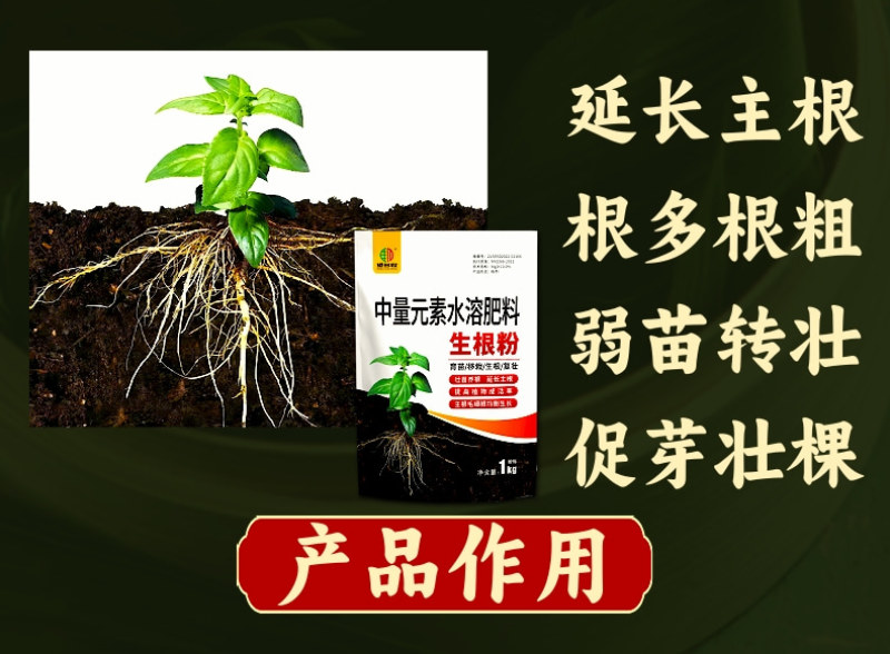植物生根粉生根提苗壮棵根系发达提高成活率