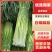 蒜苔安徽白帽蒜苔大量供应中对接电商市场社区团购等