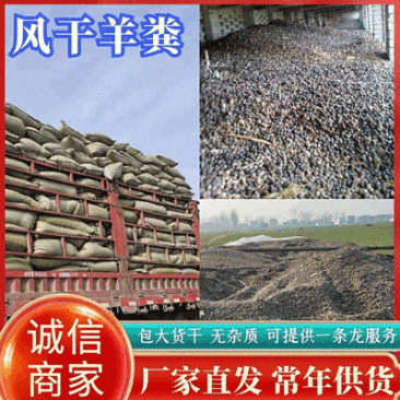 《纯风干羊粪》纯干无杂质厂家常年供货可实地考察订购