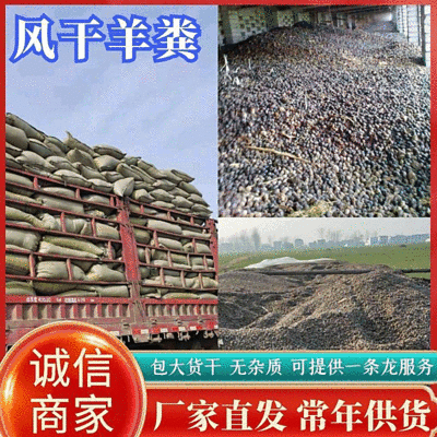 《纯风干羊粪》纯干无杂质厂家常年供货可实地考察订购
