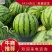 河南虞城8424西瓜种植示范基地新品上市中欢迎电联