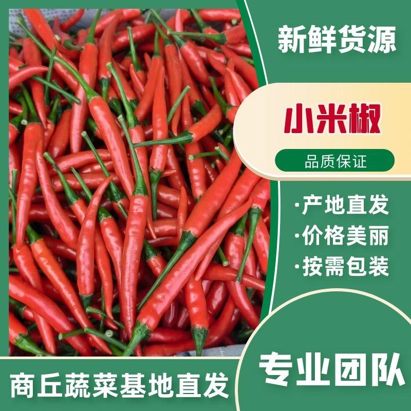 精品艳红小米椒，大量上市，代发全国，一手货源，质量漂亮。