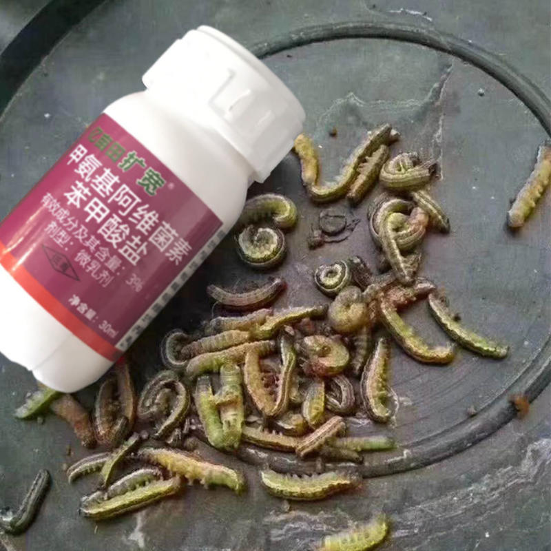扩宽抗性青虫专用针对小菜蛾钻心虫等不伤花果厂家直销