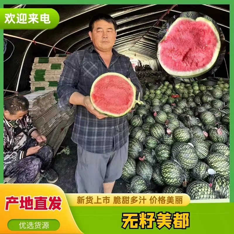 【实力】夏邑头茬麒麟无籽美都原产地供货对接商超批发糖度甜