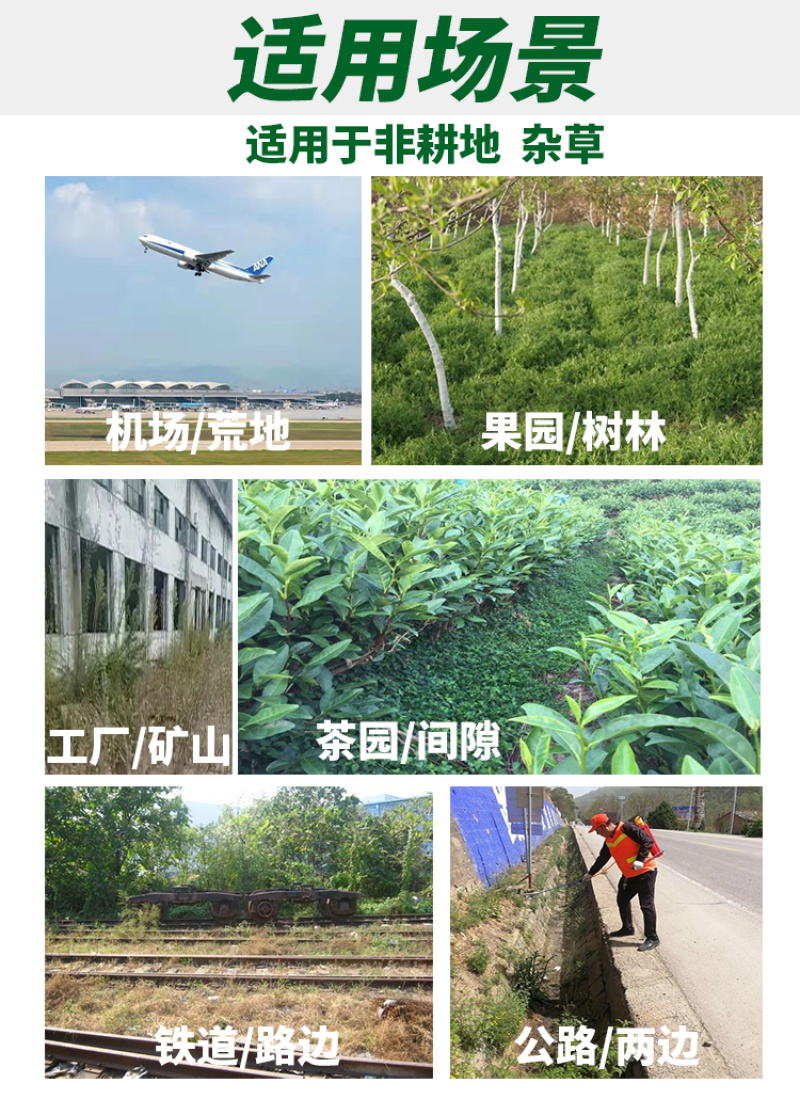 精草铵膦铵盐正品除草剂杀草迅速除草彻底公路园林景区果园