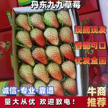 丹东草莓精选10-18克小草莓可对接蛋糕烘培奶茶店