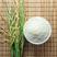 大米新货陕西汉中产地大米长粒香米贡米农家自种优质大米籼米