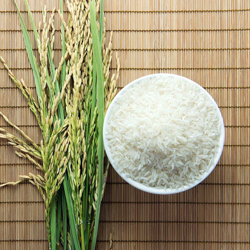 大米新货陕西汉中产地大米长粒香米贡米农家自种优质大米籼米