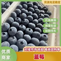 山东【精品】蓝莓鲜果大量上市包装打包设计专业