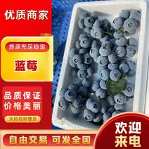 青岛蓝莓鲜果/产地直供/保质保量/一手货源，价优