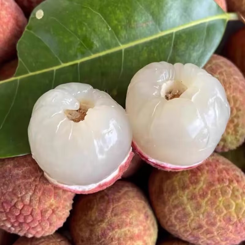 【牛商优选】海南精品桂花香荔枝支持一件代发对接电商落