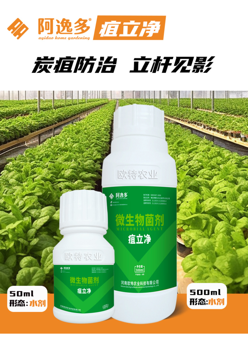 阿逸多疽立净蔬菜花卉瓜果树炭疽专用菌剂枯草芽孢杆菌叶面肥