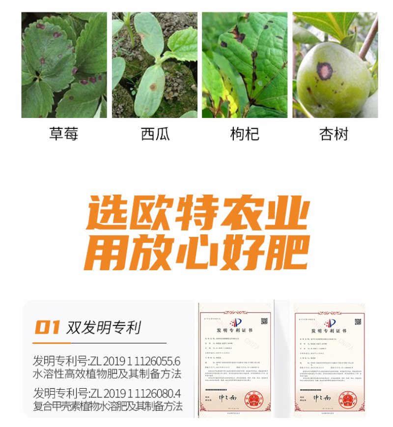 阿逸多疽立净蔬菜花卉瓜果树炭疽专用菌剂枯草芽孢杆菌叶面肥