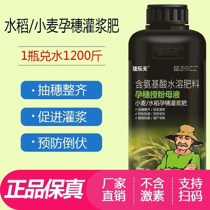 小麦水稻硅肥增产用叶面肥孕穗灌浆肥促进分蘖穗大粒饱抗倒伏