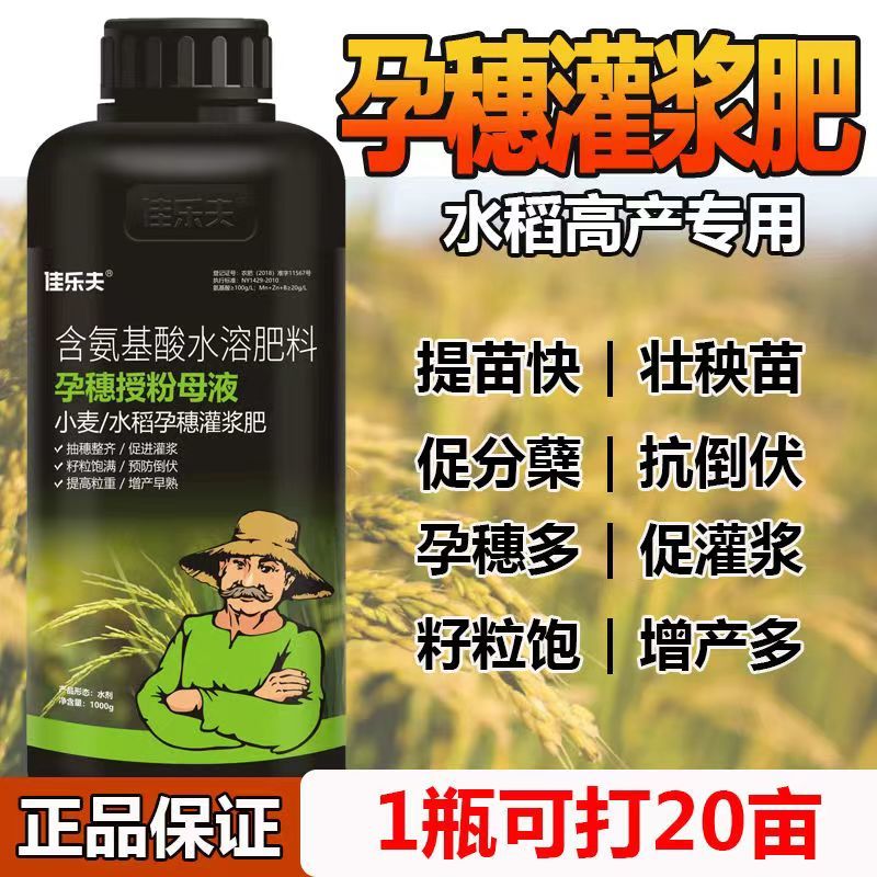 小麦水稻硅肥增产用叶面肥孕穗灌浆肥促进分蘖穗大粒饱抗倒伏