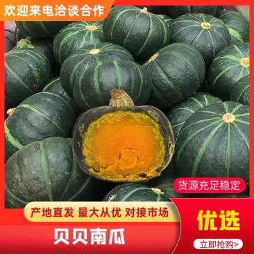 四川贝贝南瓜市场货，电商货，全国质量售后，品质保证
