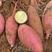 广东红薯济薯26，产地直发，品质保证，欢迎来电咨询