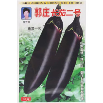 郭庄长茄二号/徐州长茄种子墨紫色茄子耐寒高产秋延后