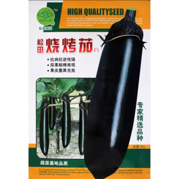 松田烧烤茄种子紫黑发亮粗长茄种籽早熟高产茄子蔬菜籽春