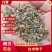 白术种子白术籽改良白术种子2025年新包芽率包邮