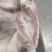 江苏肉青品质保证产地直发可视频看货欢迎咨询
