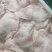 江苏肉青品质保证产地直发可视频看货欢迎咨询