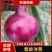 西昌市红紫皮洋葱大量上市中质优价廉欢迎新老客户咨询采购