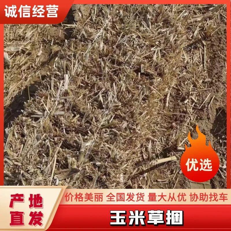 陕北定边玉米草捆大量有货草捆大没沙土没任何杂志