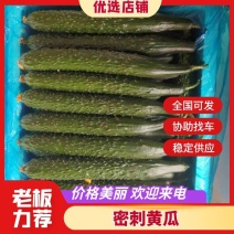 密刺精品黄瓜大量上市，保证质量，货源充足！