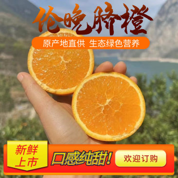 【伦晚脐橙】湖北伦晚脐橙新鲜水润橙味浓郁产地直发欢迎订购