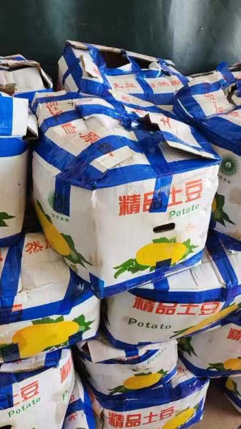 【土豆】黄心土豆大量有货产地直销价格实惠欢迎新老顾客咨询