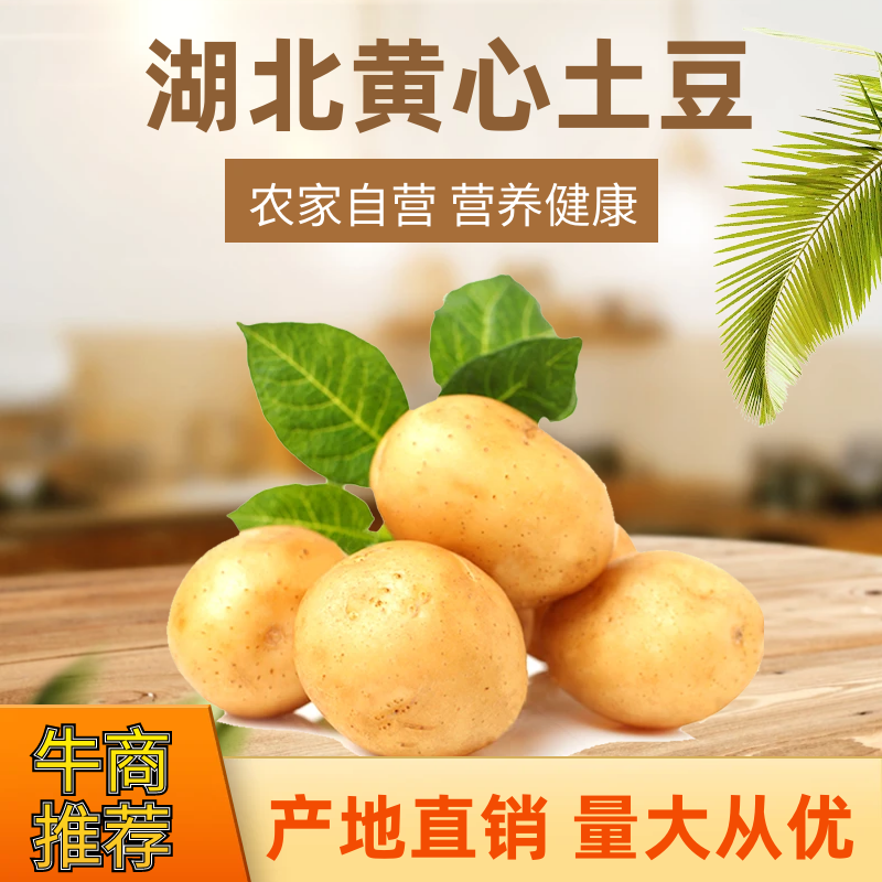 【土豆】黄心土豆大量有货产地直销价格实惠欢迎新老顾客咨询