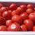 硬粉西红柿西红柿山西西红柿产地直销品质好对接各类客户