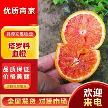 【塔罗科4号血橙】口感香醇自家种植现摘现发致电优惠