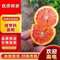 【塔罗科4号血橙】口感香醇自家种植现摘现发致电优惠