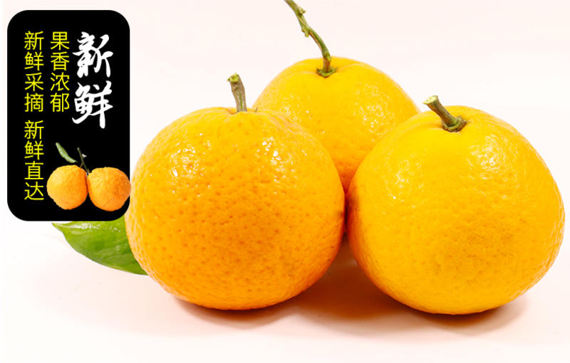 四川青见果冻橙一件代发青见橙子柑橘水果非爱媛橙代发批发包
