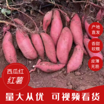 【实力推荐】西瓜红红薯广东直供全国市场商超电商对接来电