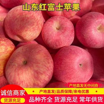 【精品苹果】山东红富士苹果《保质保量/坏烂包赔》