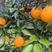 【新鲜奉节脐橙，产地直供，甜脆多汁，健康美味】
